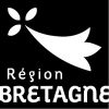 region_bretagne-100x100