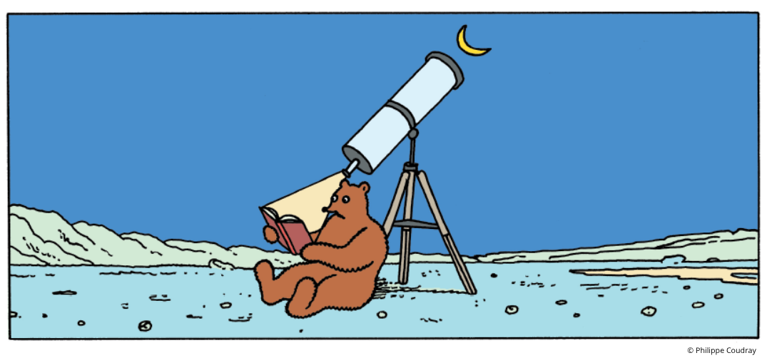 L&rsquo;Ours Barnabé